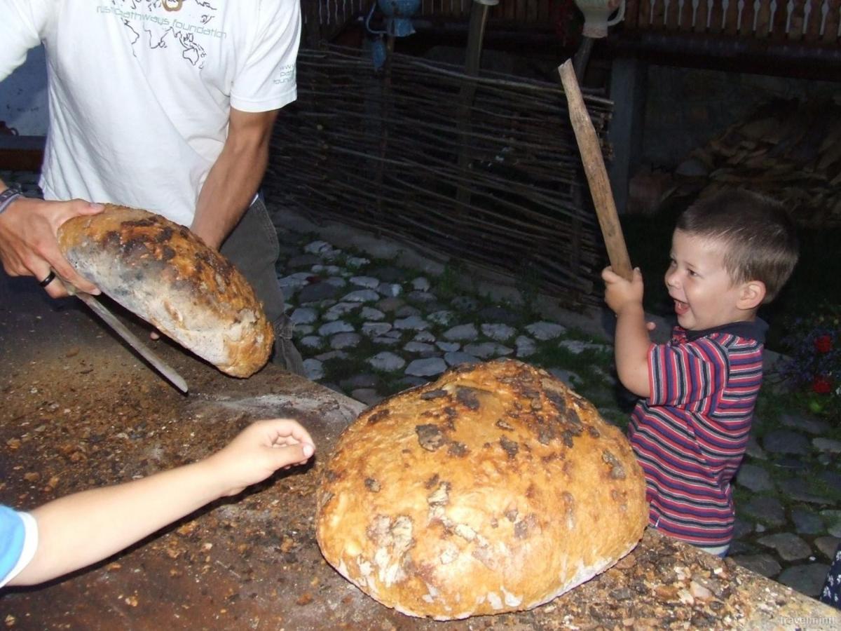 Pensiunea Aranyos ルメテア エクステリア 写真